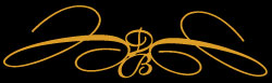 db customs logo